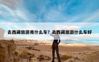 去西藏旅游用什么车？去西藏旅游什么车好