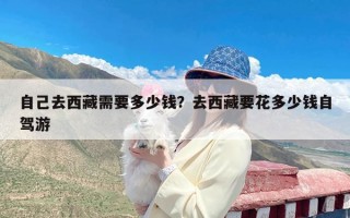 自己去西藏需要多少钱？去西藏要花多少钱自驾游