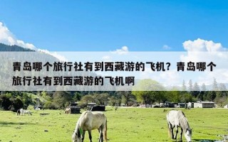 青岛哪个旅行社有到西藏游的飞机？青岛哪个旅行社有到西藏游的飞机啊