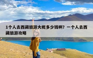 1个人去西藏旅游大概多少钱啊？一个人去西藏旅游攻略