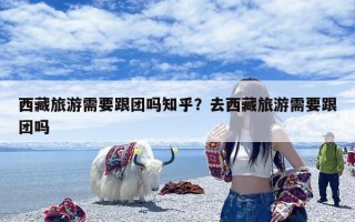 西藏旅游需要跟团吗知乎？去西藏旅游需要跟团吗