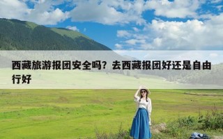西藏旅游报团安全吗？去西藏报团好还是自由行好