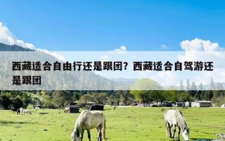 西藏适合自由行还是跟团？西藏适合自驾游还是跟团