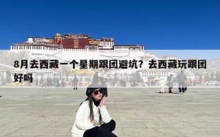 8月去西藏一个星期跟团避坑？去西藏玩跟团好吗