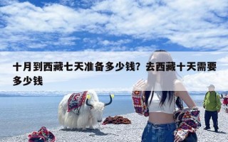 十月到西藏七天准备多少钱？去西藏十天需要多少钱