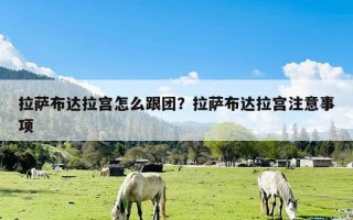 拉萨布达拉宫怎么跟团？拉萨布达拉宫注意事项