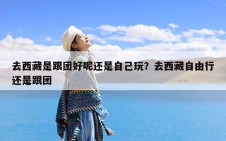去西藏是跟团好呢还是自己玩？去西藏自由行还是跟团