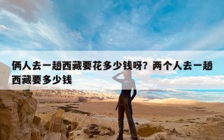 俩人去一趟西藏要花多少钱呀？两个人去一趟西藏要多少钱