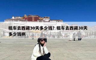 租车去西藏30天多少钱？租车去西藏30天多少钱啊
