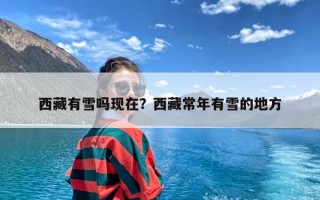 西藏有雪吗现在？西藏常年有雪的地方