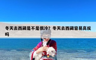 冬天去西藏是不是很冷？冬天去西藏容易高反吗