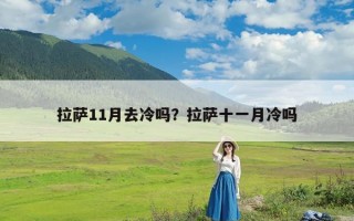 拉萨11月去冷吗？拉萨十一月冷吗