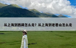 从上海到西藏怎么走？从上海到老君山怎么走