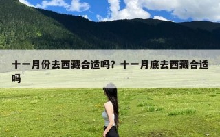 十一月份去西藏合适吗？十一月底去西藏合适吗