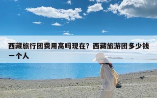 西藏旅行团费用高吗现在？西藏旅游团多少钱一个人