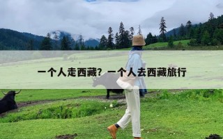 一个人走西藏？一个人去西藏旅行
