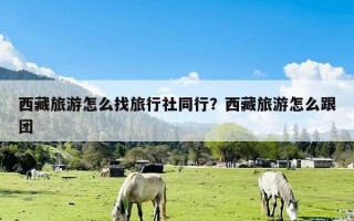 西藏旅游怎么找旅行社同行？西藏旅游怎么跟团