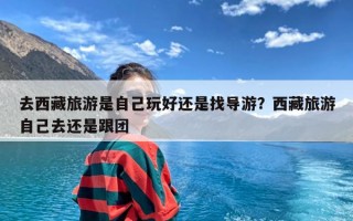 去西藏旅游是自己玩好还是找导游？西藏旅游自己去还是跟团