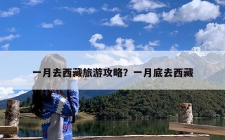 一月去西藏旅游攻略？一月底去西藏