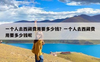 一个人去西藏费用要多少钱？一个人去西藏费用要多少钱呢