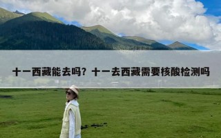 十一西藏能去吗？十一去西藏需要核酸检测吗