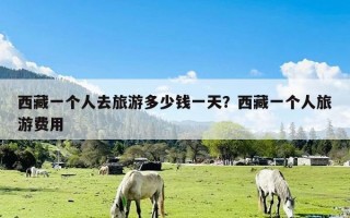 西藏一个人去旅游多少钱一天？西藏一个人旅游费用