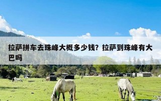 拉萨拼车去珠峰大概多少钱？拉萨到珠峰有大巴吗