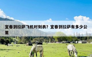 宜春到拉萨飞机时刻表？宜春到拉萨有多少公里