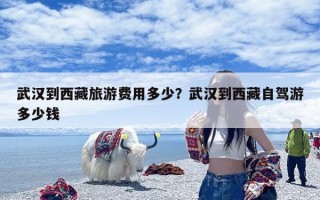 武汉到西藏旅游费用多少？武汉到西藏自驾游多少钱
