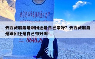 去西藏旅游是跟团还是自己带好？去西藏旅游是跟团还是自己带好呢