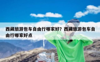 西藏旅游包车自由行哪家好？西藏旅游包车自由行哪家好点