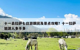 十一去拉萨七日游跟团及景点攻略？十一拉萨旅游人多不多