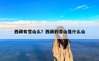 西藏有雪山么？西藏的雪山是什么山