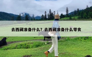 去西藏准备什么？去西藏准备什么零食