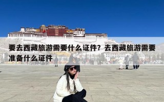 要去西藏旅游需要什么证件？去西藏旅游需要准备什么证件
