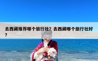 去西藏推荐哪个旅行社？去西藏哪个旅行社好?