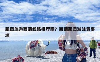 跟团旅游西藏线路推荐图？西藏跟团游注意事项