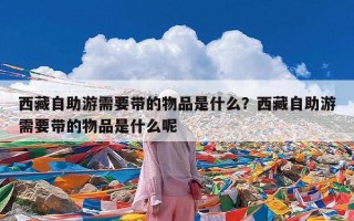 西藏自助游需要带的物品是什么？西藏自助游需要带的物品是什么呢