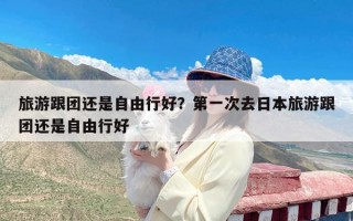 旅游跟团还是自由行好？第一次去日本旅游跟团还是自由行好