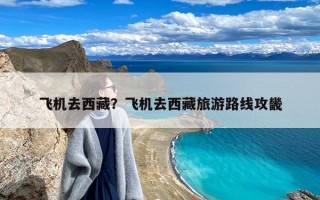 飞机去西藏？飞机去西藏旅游路线攻畿