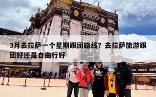 3月去拉萨一个星期跟团路线？去拉萨旅游跟团好还是自由行好