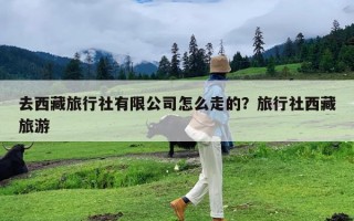 去西藏旅行社有限公司怎么走的？旅行社西藏旅游