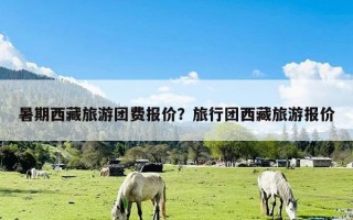 暑期西藏旅游团费报价？旅行团西藏旅游报价