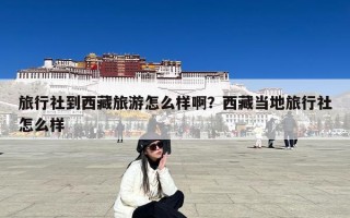 旅行社到西藏旅游怎么样啊？西藏当地旅行社怎么样