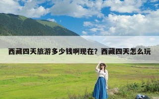 西藏四天旅游多少钱啊现在？西藏四天怎么玩