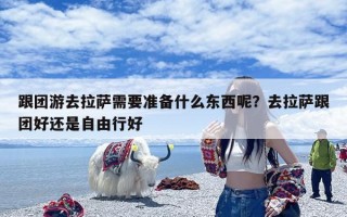 跟团游去拉萨需要准备什么东西呢？去拉萨跟团好还是自由行好