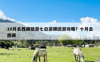 10月去西藏旅游七日游跟团游攻略？十月去西藏