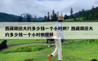 西藏跟团大约多少钱一个小时啊？西藏跟团大约多少钱一个小时啊视频