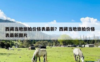 西藏当地旅拍价格表最新？西藏当地旅拍价格表最新图片