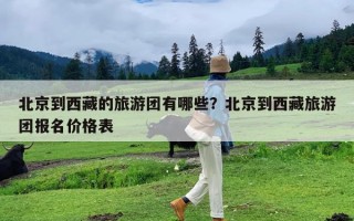 北京到西藏的旅游团有哪些？北京到西藏旅游团报名价格表